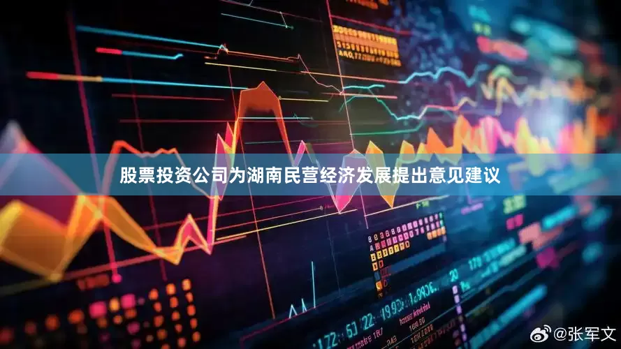 股票投资公司为湖南民营经济发展提出意见建议