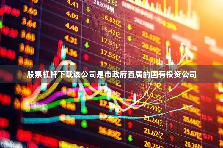 股票杠杆下载该公司是市政府直属的国有投资公司