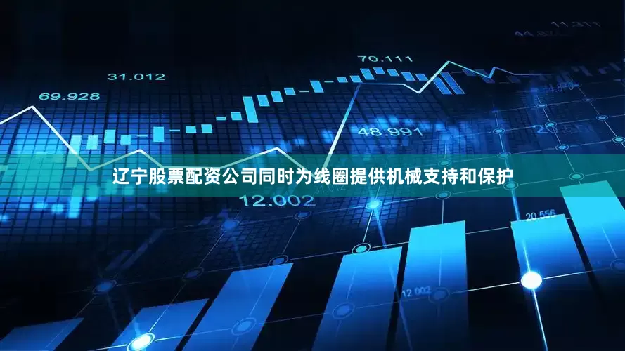 辽宁股票配资公司同时为线圈提供机械支持和保护