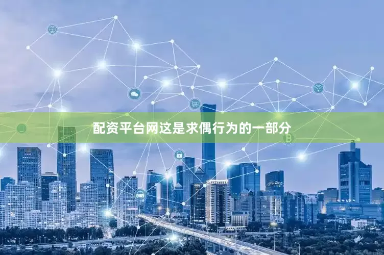 配资平台网这是求偶行为的一部分
