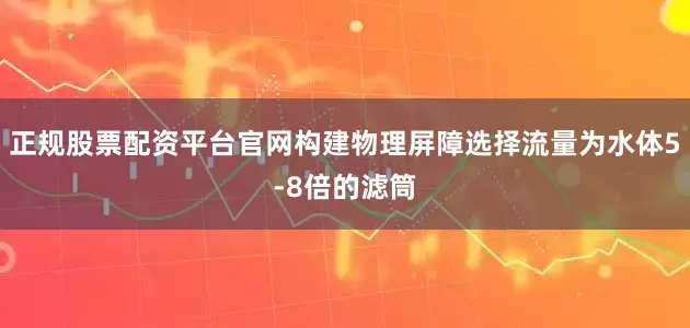 正规股票配资平台官网构建物理屏障选择流量为水体5-8倍的滤筒